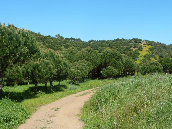 Algarve walking vacation, west to east