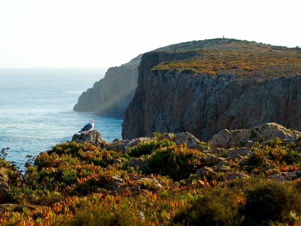 Algarve walking vacation, west to east