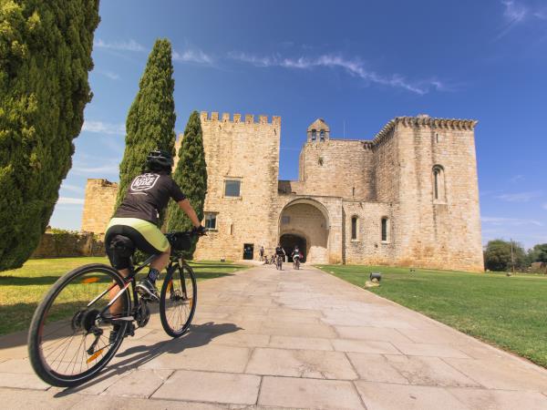 Alentejo cycling vacation, wine country