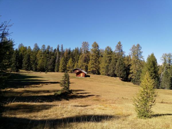 Dolomites centre based walking vacation in Italy