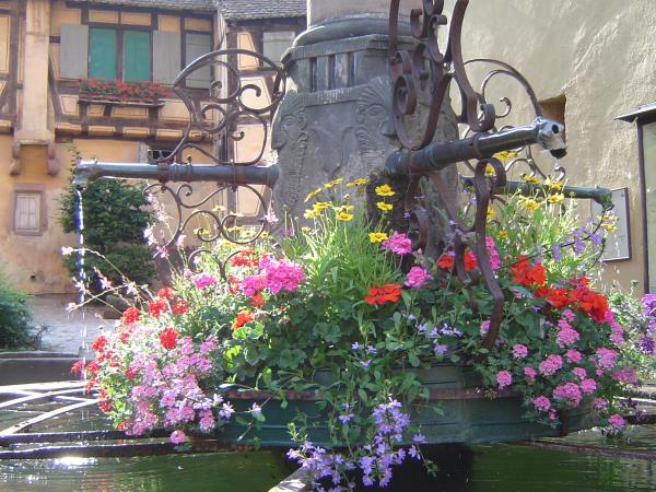 Alsace self guided walking vacation in France
