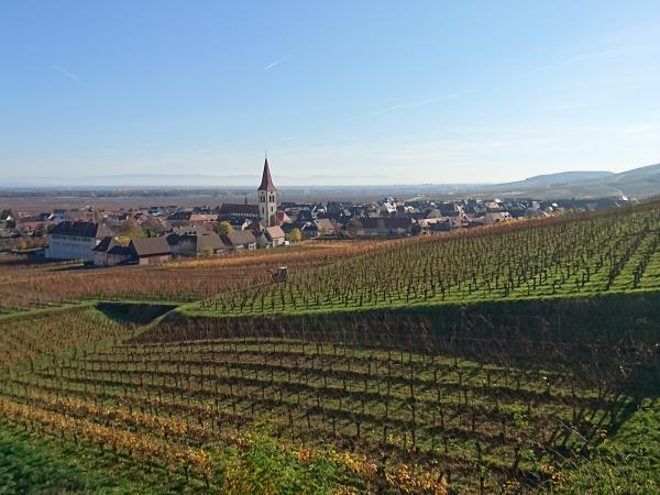 Alsace self guided walking vacation in France