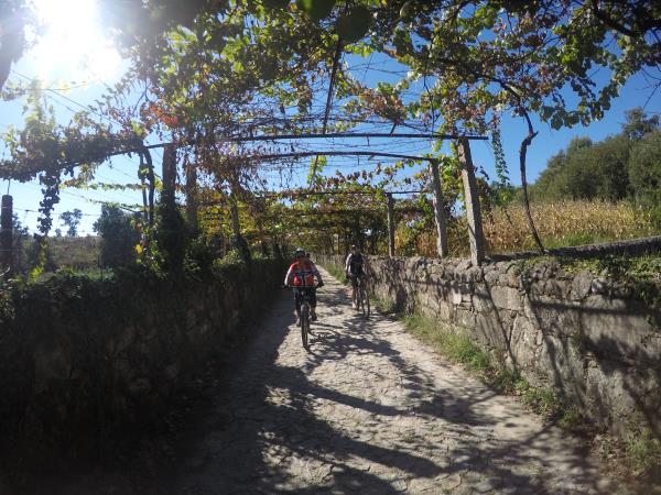 The Portuguese Way cycling vacation in Portugal
