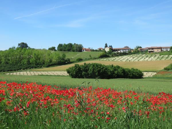 Piedmont self guided walking vacation in Italy