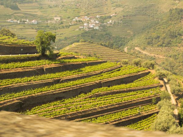 Douro Valley self guided cycling vacation, Portugal