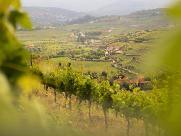 Douro Valley self guided cycling vacation, Portugal