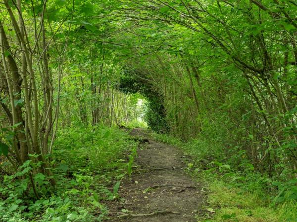 Wales hiking holiday, the Offa’s Dyke path