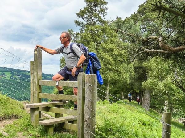 Wales hiking holiday, Offa's Dyke northern path