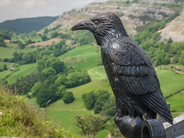 Wales hiking holiday, Offa's Dyke northern path