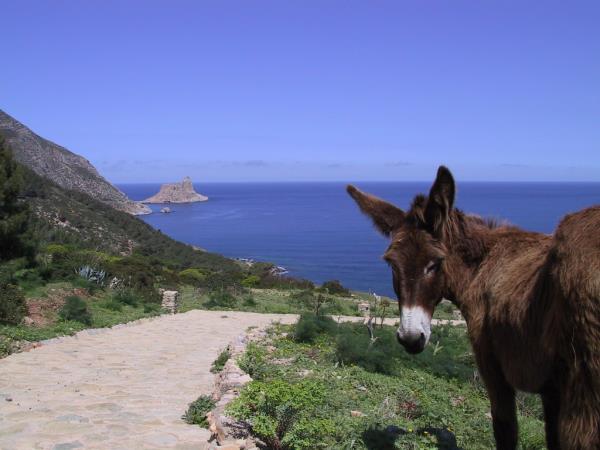 Sicily self guided walking vacation in Italy