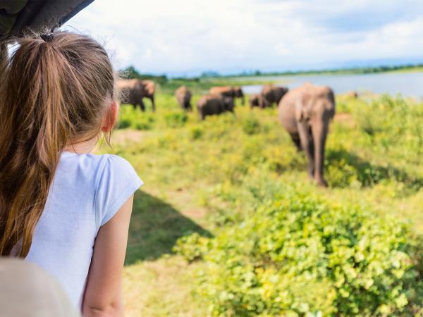 Sri Lanka tailor made tour, 13 days