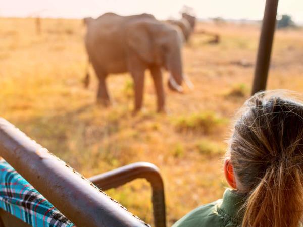 Zanzibar and Serengeti family Safari