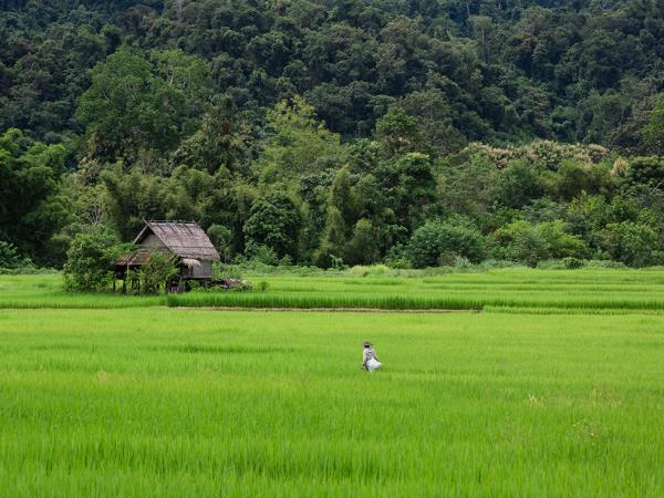 Laos hilltribes and jungles vacation