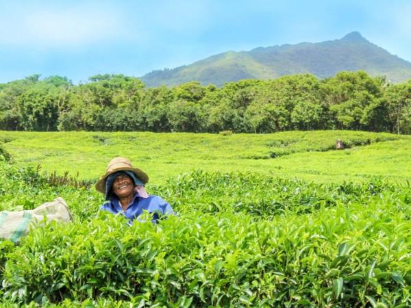 Mauritius vacation, support and empower local women