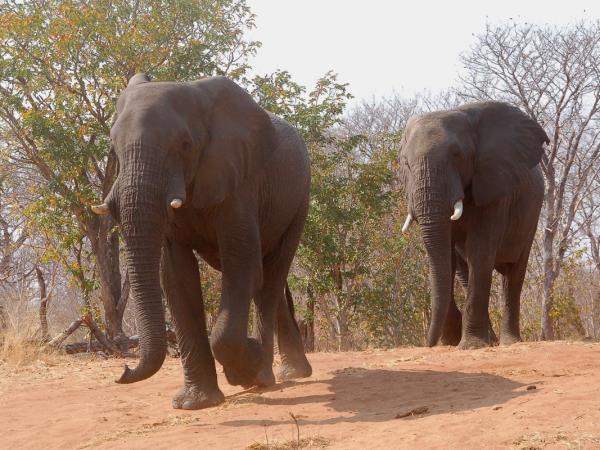 Southern Africa walking vacations