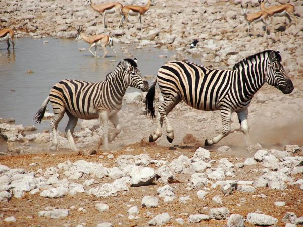Southern Africa walking vacations