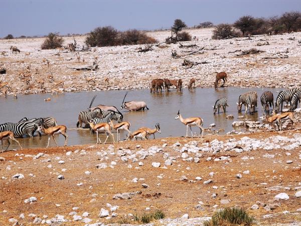 Southern Africa walking vacations