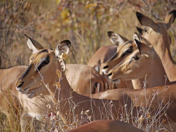 Southern Africa walking vacations