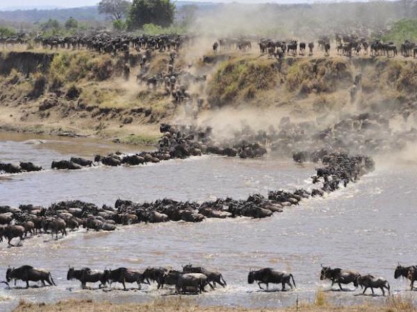 Kenya 5 day safari vacation