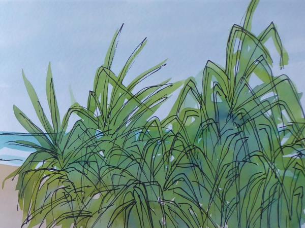 Painting holiday in Sri Lanka