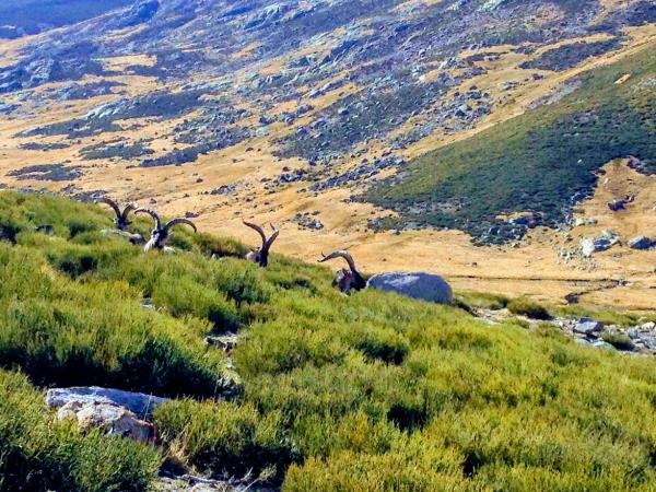 Central Spain walking vacation