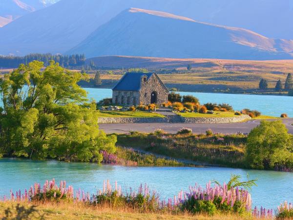New Zealand self drive tour, 23 days