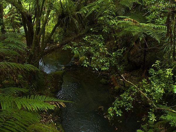 New Zealand culture & trekking self drive tour