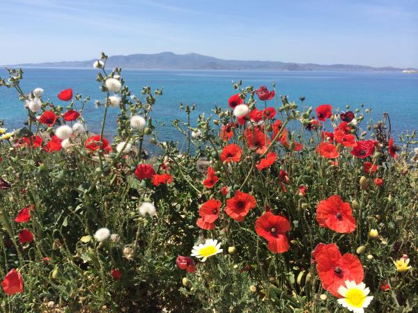 Naxos & the Small Cyclades vacation in Greece