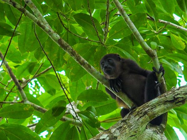 Costa Rica luxury tailormade vacation