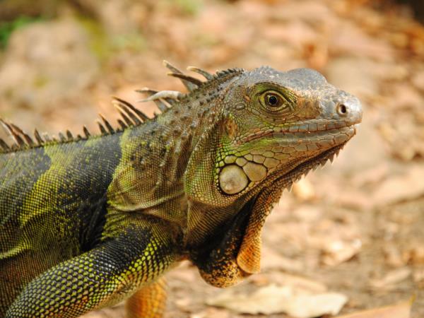 Colombia tailor made vacation, culture and coast