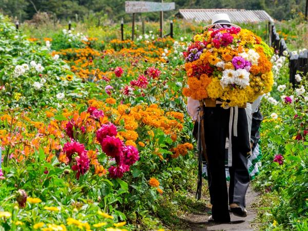 Colombia tailor made vacation, culture and coast