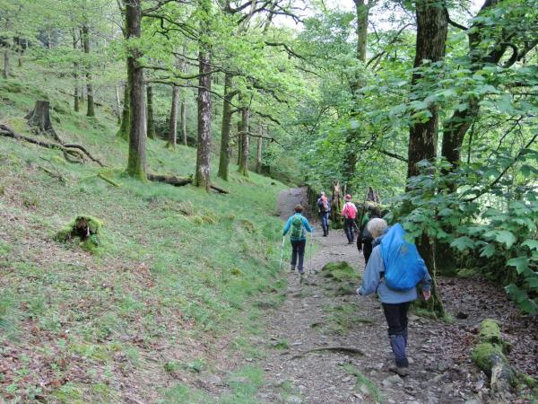 England coast to coast walking vacation, Wainwrights