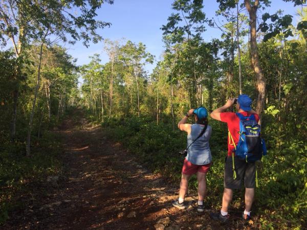 Bird watching tour in Mexico