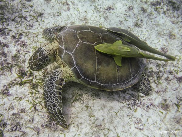 Small group wildlife tour in Mexico