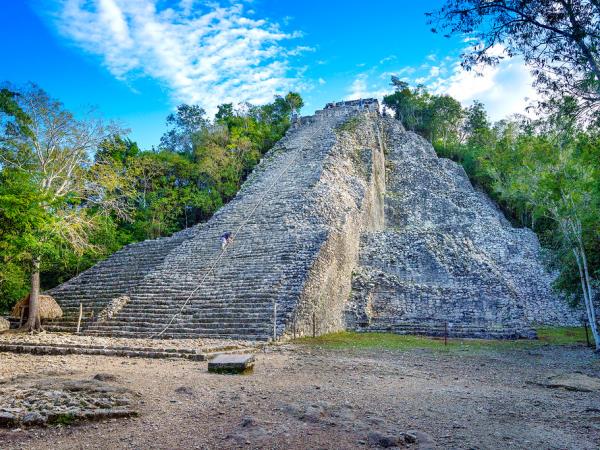 Small group wildlife tour in Mexico