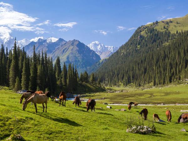 Walking in Kyrgyzstan vaction