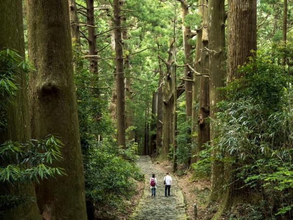 Kumano Kodo Trail Japan walking vacation