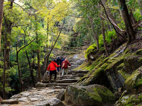 Kumano Kodo Trail Japan walking vacation
