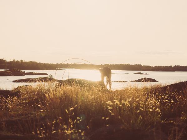 Photography and kayaking vacation in Sweden