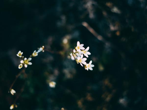 Photography and kayaking vacation in Sweden