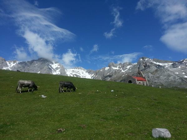 Walking in the Picos de Europa vacation