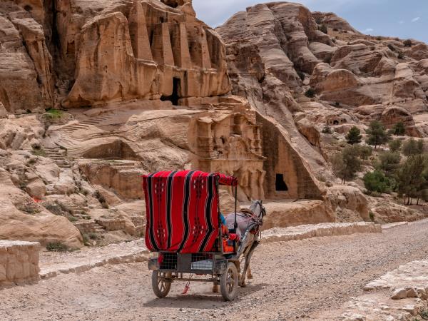 Christmas and new year Jordan tour