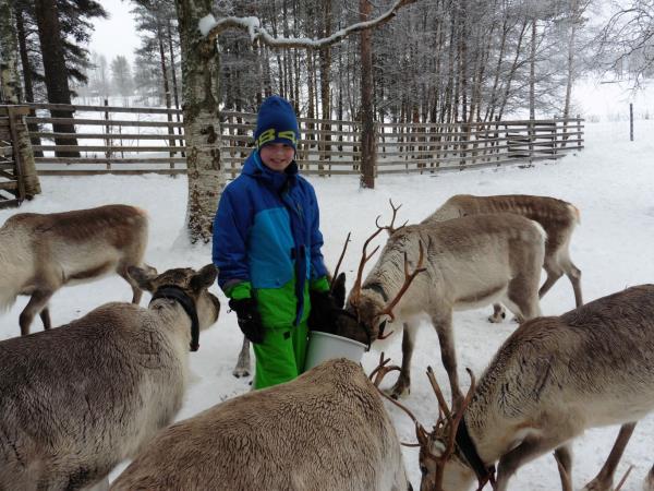 Family winter activity vacation, Finland
