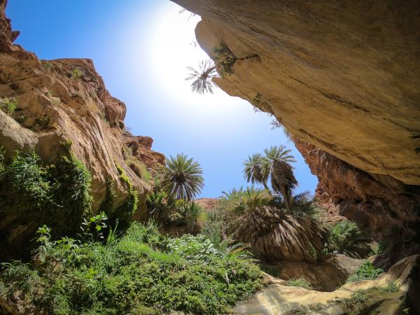 Winter activity tour in Jordan