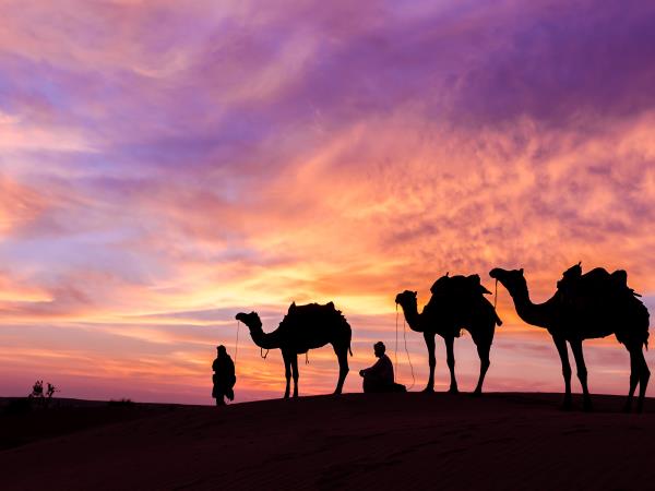 Winter activity tour in Jordan