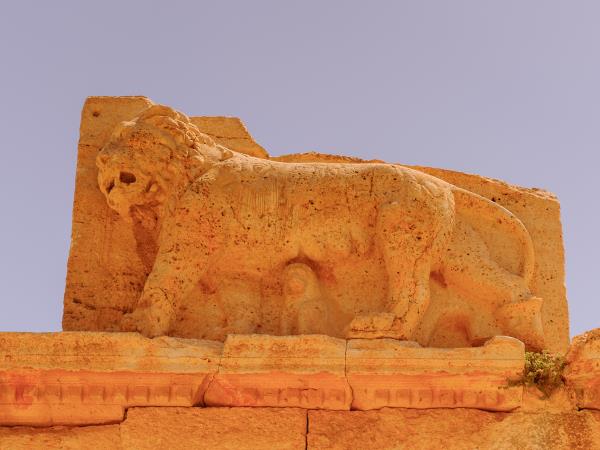 Jordan history and castles tour
