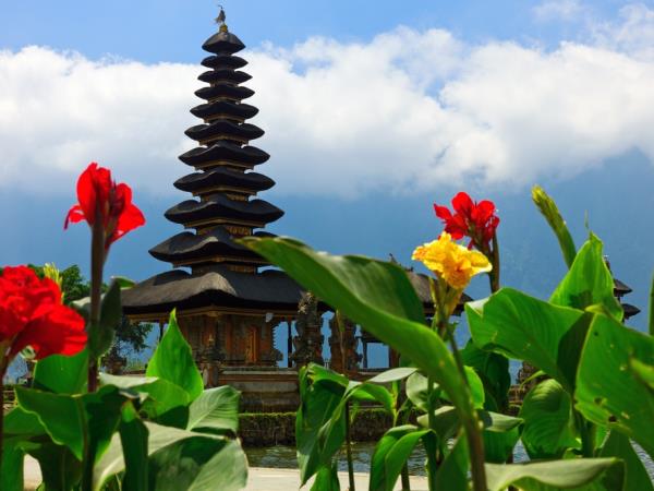 Java group tour