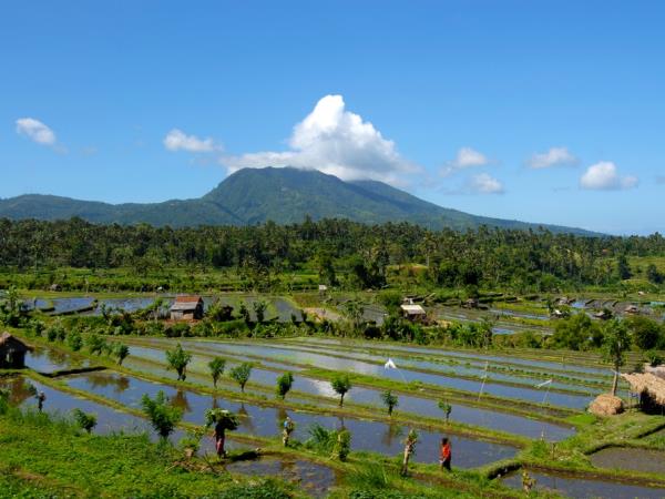 Java group tour