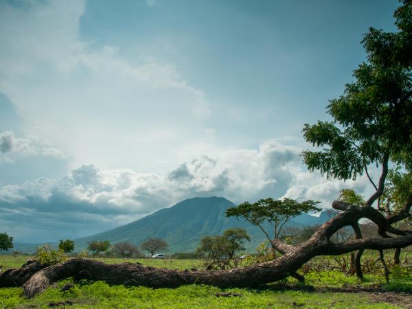 Java group tour