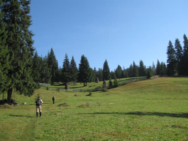 Guided hiking vacation in Romania